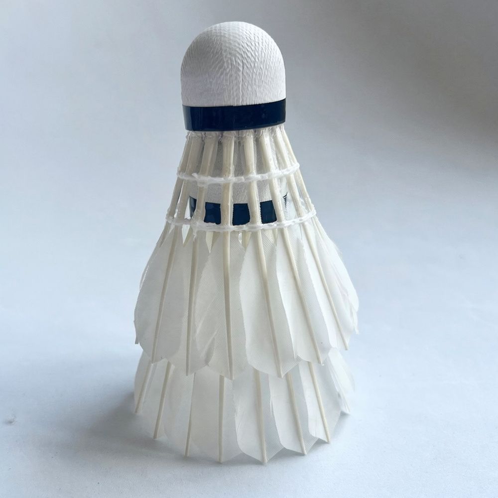 Professional Goose Feather Bad - đánh giá và giá Feather Shuttlecock