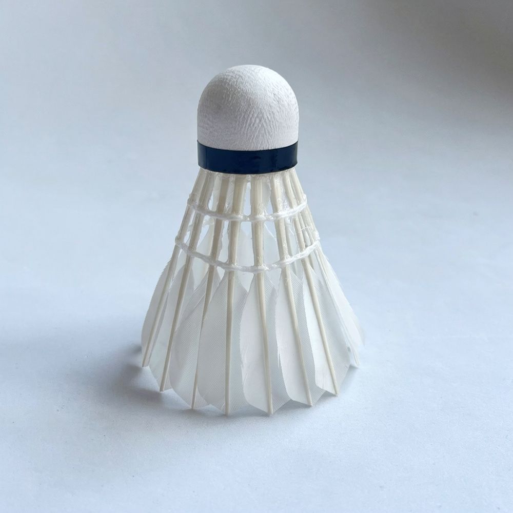 Professional Goose Feather Bad - đánh giá và giá Feather Shuttlecock